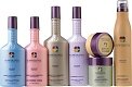 Pureology hair care products at Styles of Elegance salon in Tallahassee